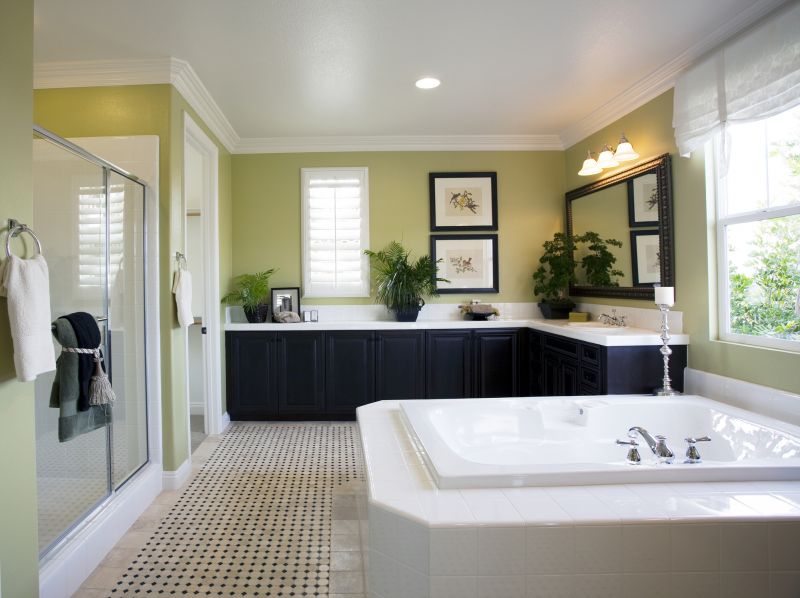 Modern Tub Area
